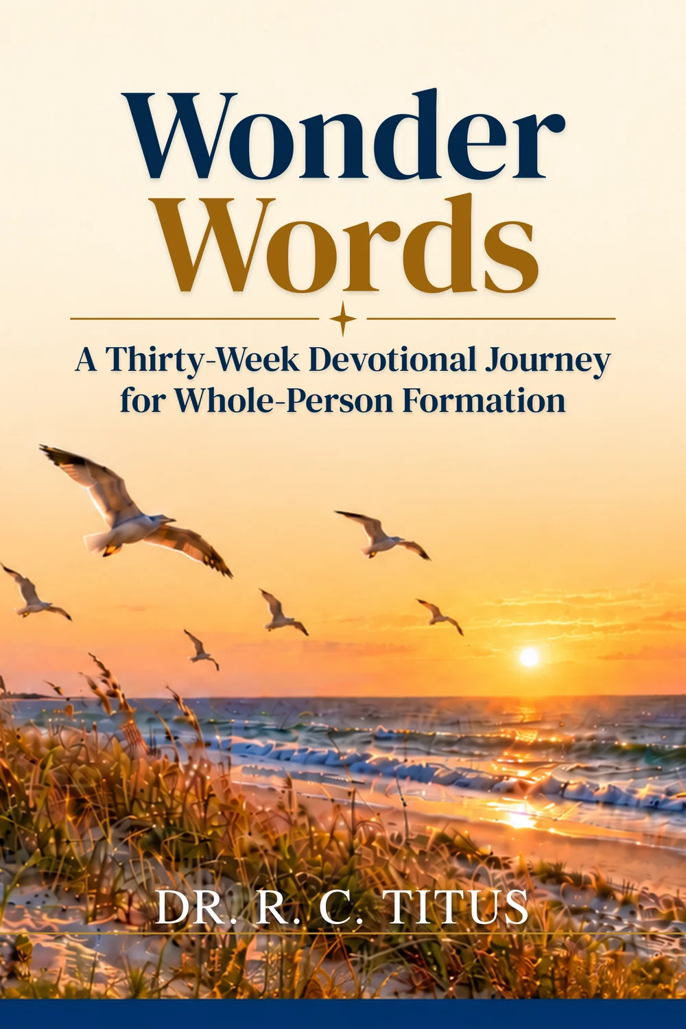 Wonder Words — book cover